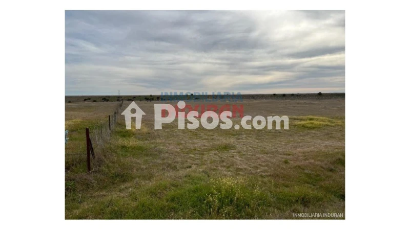 Finca rústica en venta en Casatejada - Vista 3