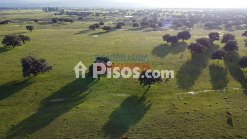 Finca rústica en venta en Saucedilla - Vista 3