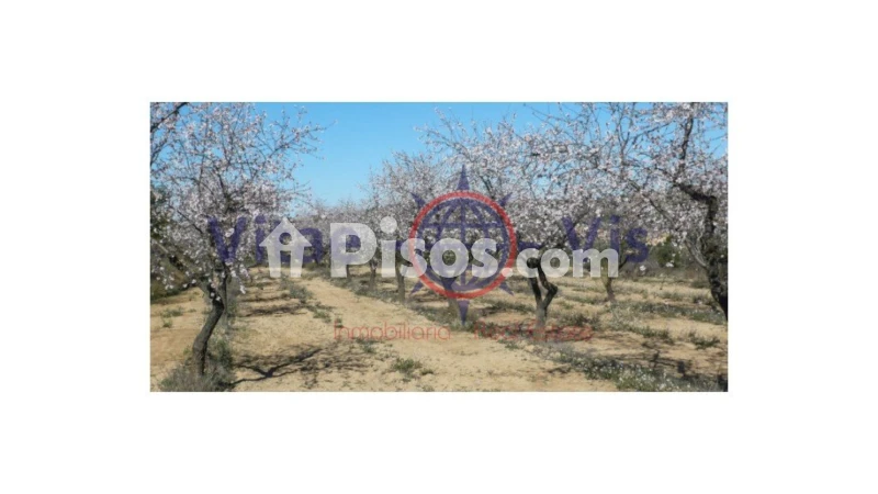 Finca rústica en venta en Carretera de la Parroquia - Näkymä 3