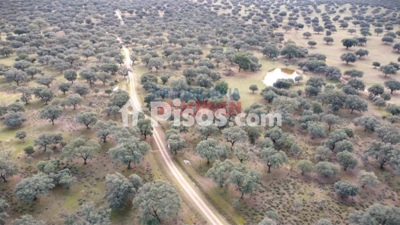 Finca rústica en venta en Majadas - Vista 3