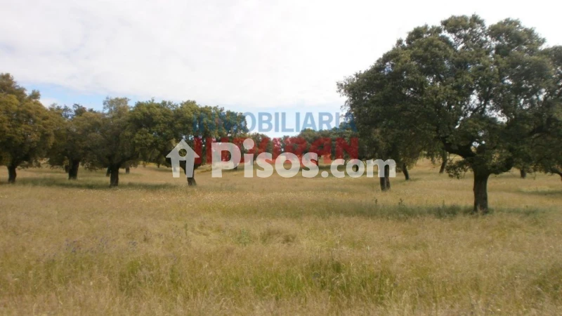 Finca rústica en venta en Malpartida de Plasencia - Vista 3