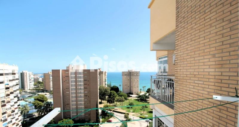 Piso – Orihuela, Mil Palmeras