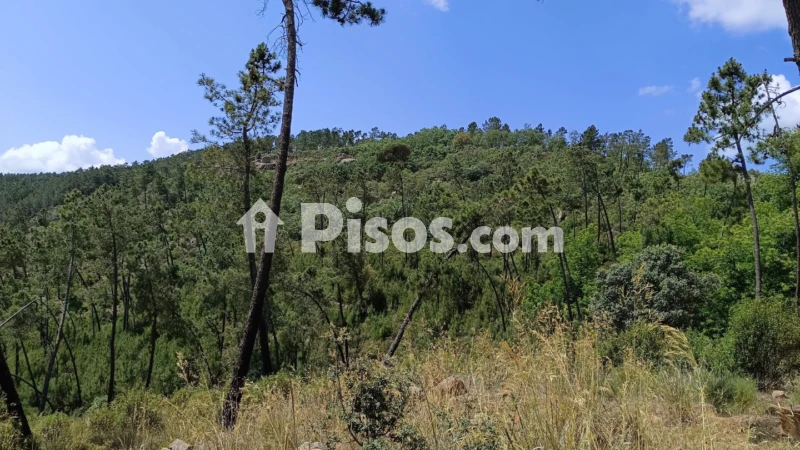 Finca rústica en venta en El Robledillo - Vista 3