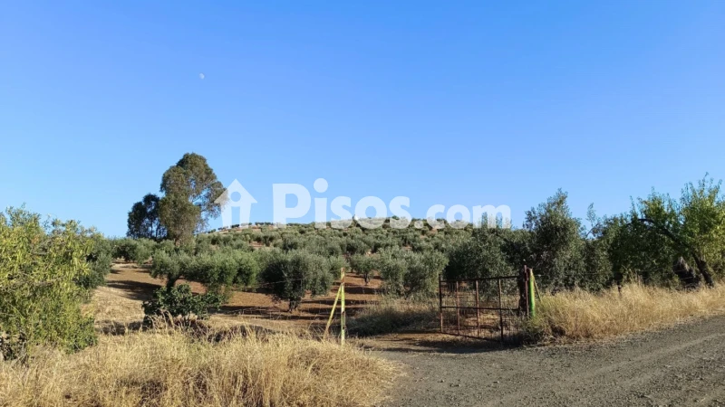 Finca rústica en venta en Montemolín - Vista 3