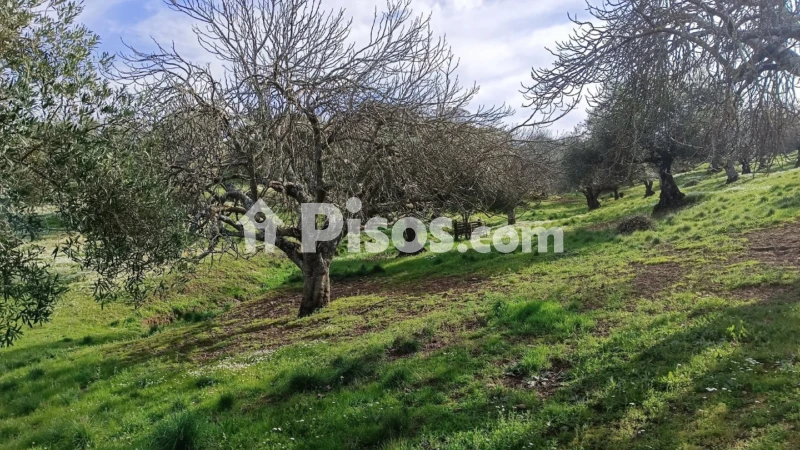 Finca rústica en venta en Monesterio - Vista 3