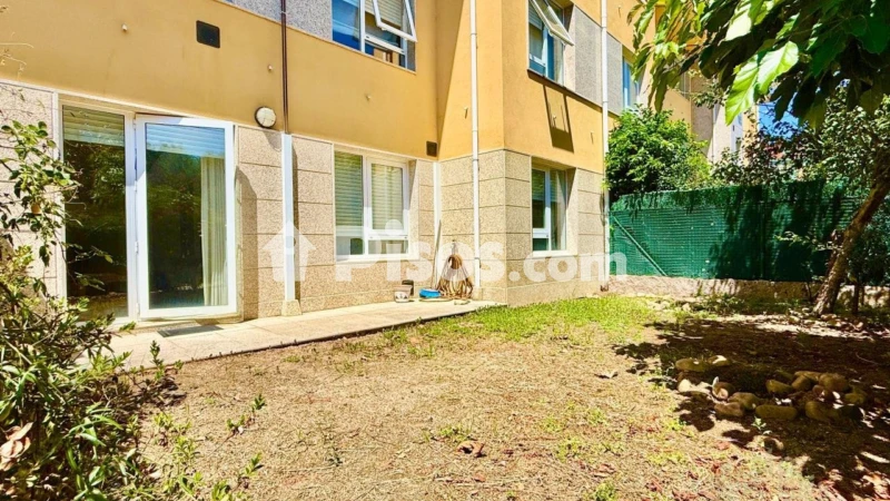 Piso – Osebe