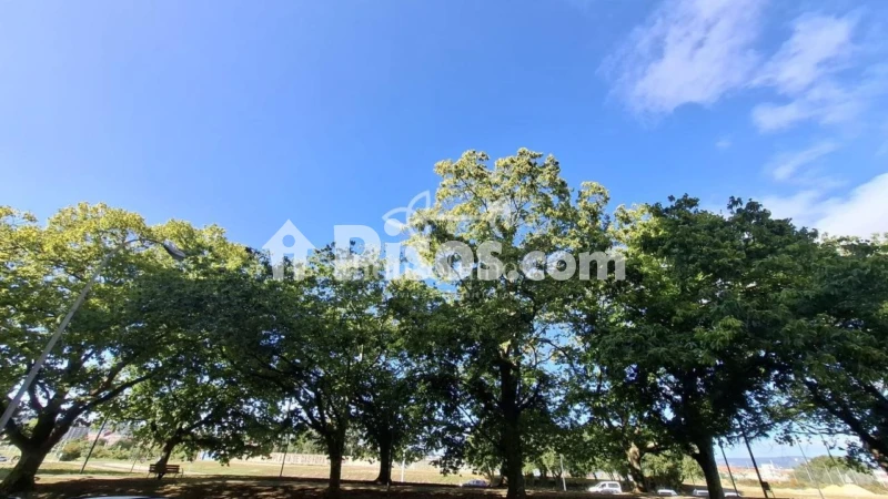 Local comercial en venta en Calle de Lepanto