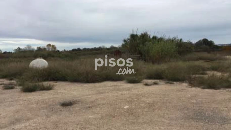 Land for sale in Rincon de La Piedra Polg.45 Parc.114, Number 0, Carcaixent of 13.121 €