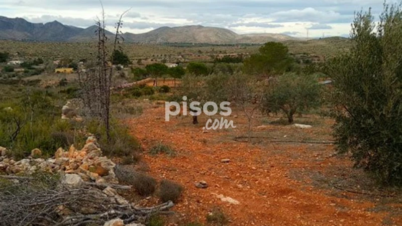 Land for sale in Partida Plá de Cerezo, Polígono 7, Parcela 42, Number 0, Catadau of 2.258 €