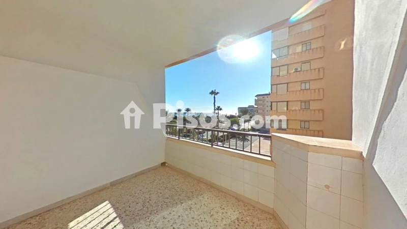 Pis – Torrevieja