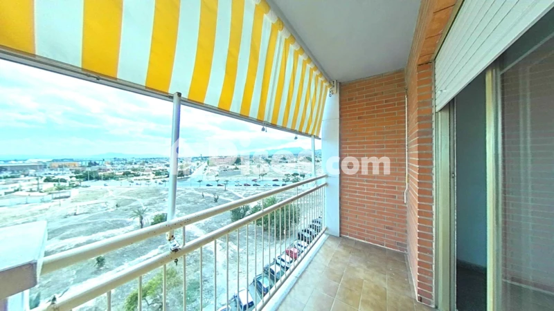 Piso en venta en Calle Cl Joaquin Martinez Macia 64Elche