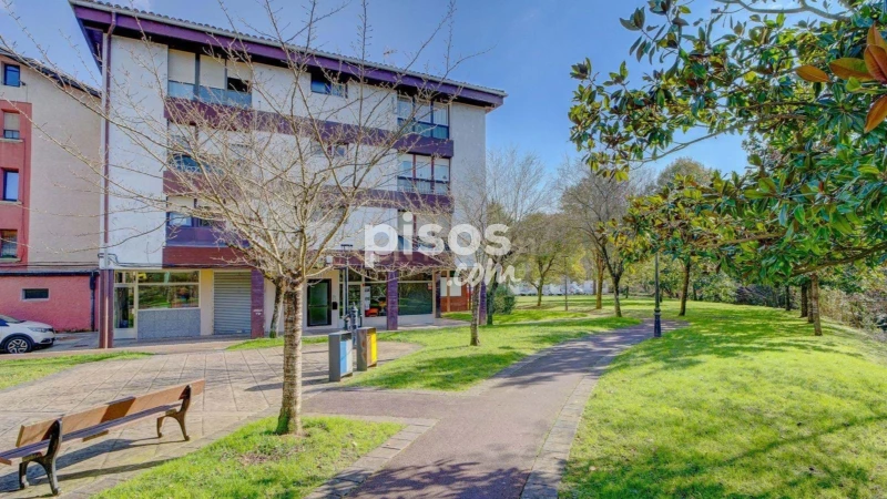 Piso en venta en Calle de San Andrés, Ormaiztegi de 114.000 €