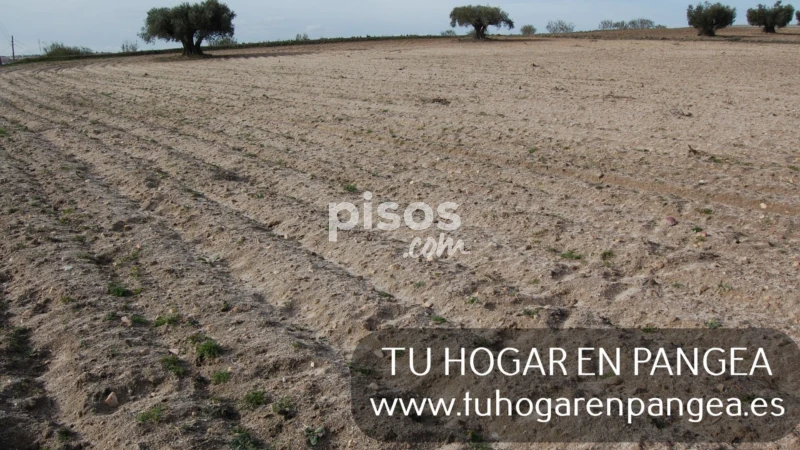 Finca rústica en venta en Navalcarnero, Navalcarnero de 18.800 €