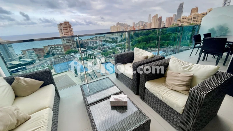 Pis – Benidorm