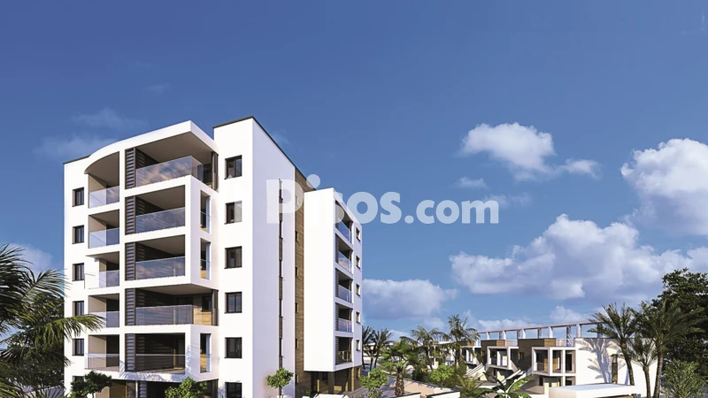 Piso – Orihuela, Molins
