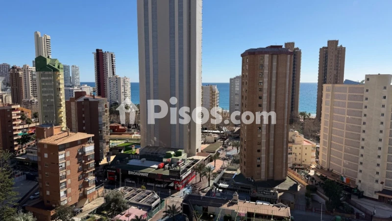 Pis – Benidorm