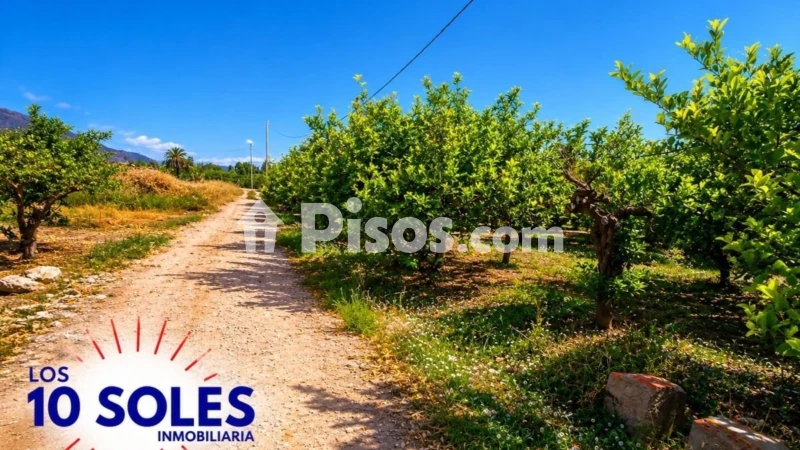 Casa – Orihuela, Raiguero de Bonanza
