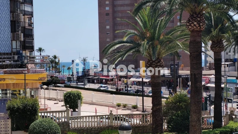 Pis – Benidorm