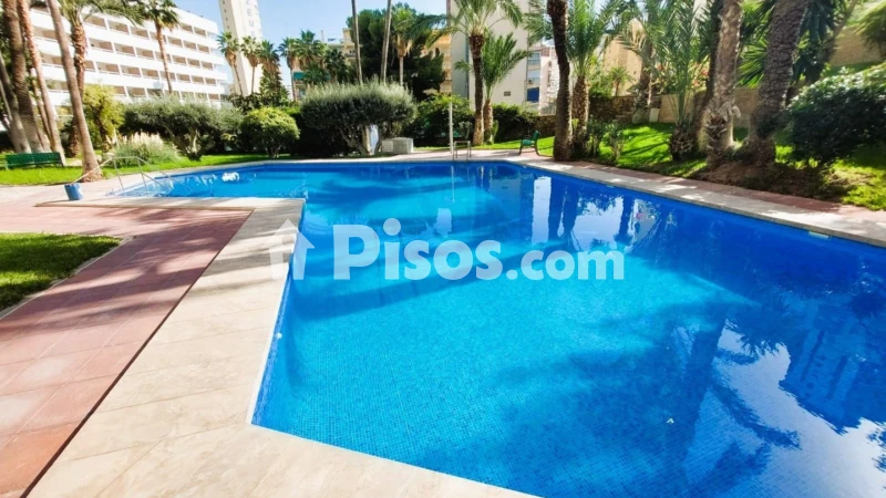 Pis – Benidorm