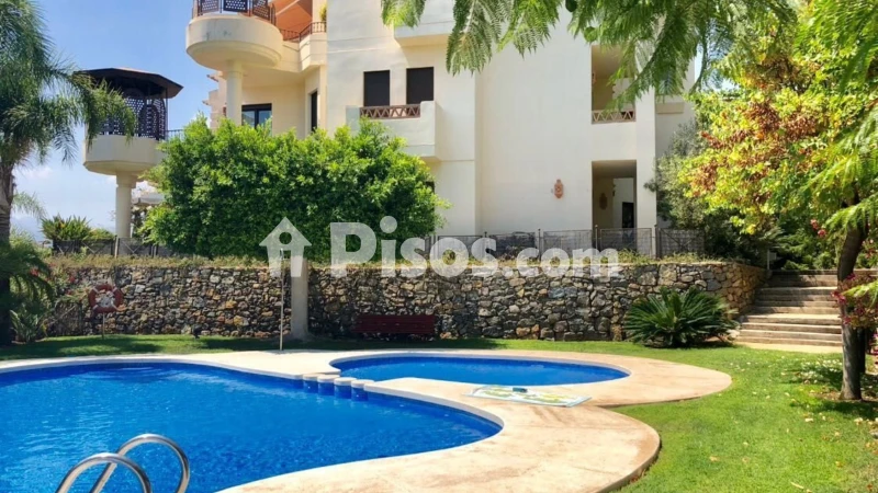Pis – Altea