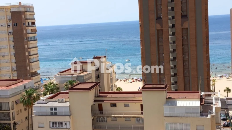 Pis – Benidorm