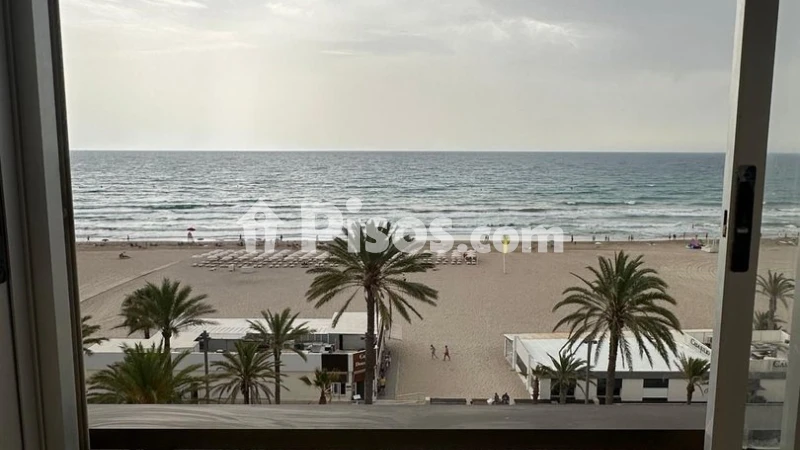 Pis – Alicante - Alacant