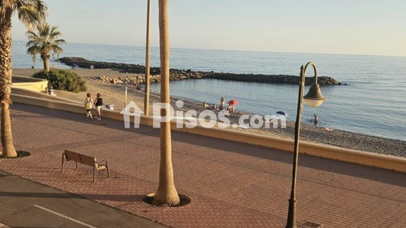 Fotografía del inmueble reportado: 600 €/mes — Almería, Almería