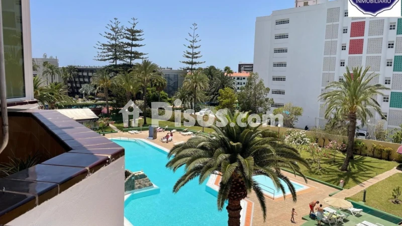Fotografía del inmueble reportado: 1.250 €/mes — Las Palmas, Las Palmas