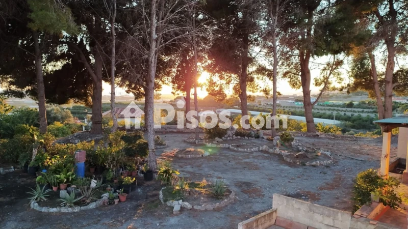 Pis – Motril - Vista 3