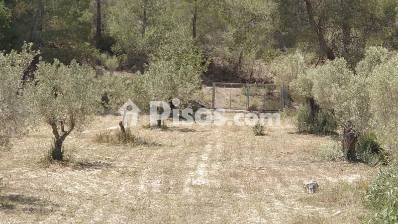 Terreno en venta en Calle Cremats, Número 84