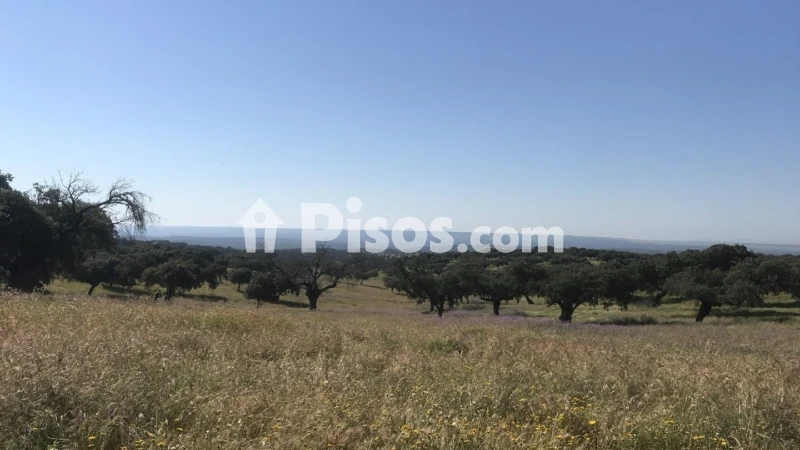 Finca rústica en venta en Plasencia - Vista 3