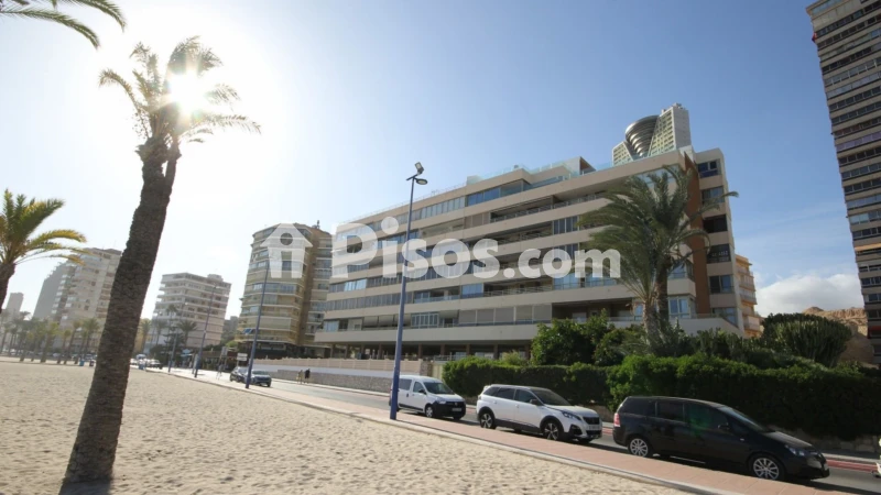 Pis – Benidorm