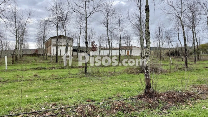 Finca rústica en venta en Plasencia - Vista 3