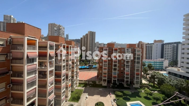 Pis – Benidorm