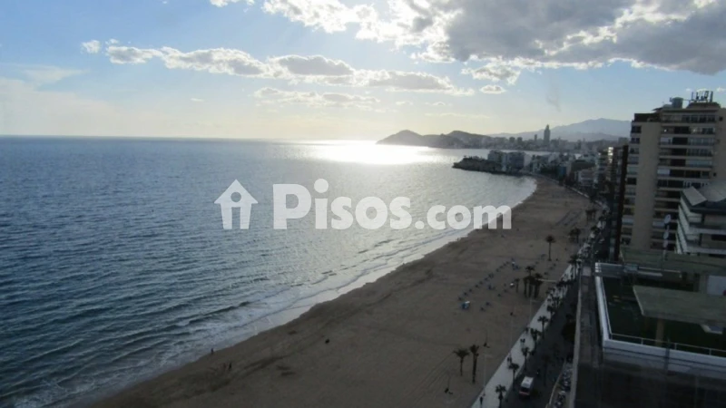 Pis – Benidorm