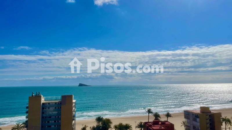 Pis – Benidorm