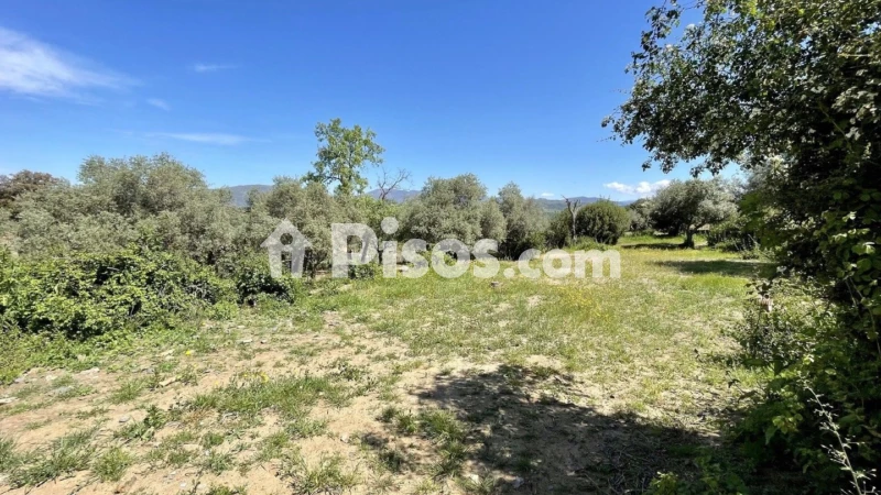 Finca rústica en venta en Malpartida de Plasencia - Vista 3