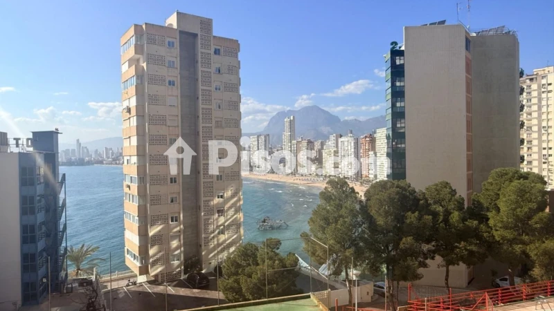 Pis – Benidorm