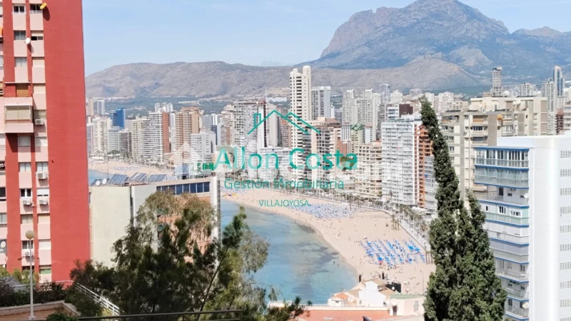 Pis – Benidorm