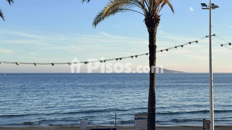 Pis – Benidorm