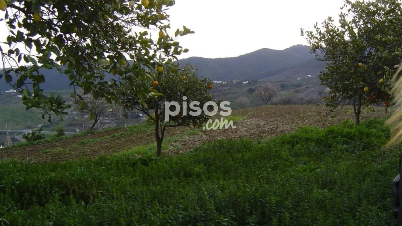 Finca rústica en venta en Carratraca, Carratraca de 300.000 €
