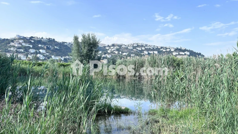 Terreno en venta en Pego