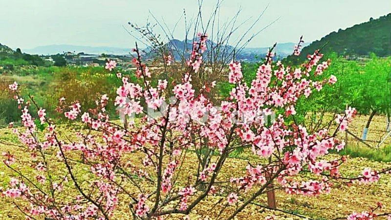 Terreno en venta en La Romana