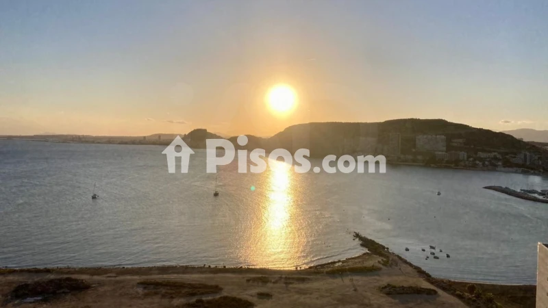 Pis – Alicante - Alacant
