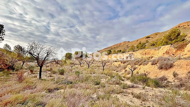 Terreno en venta en Agost