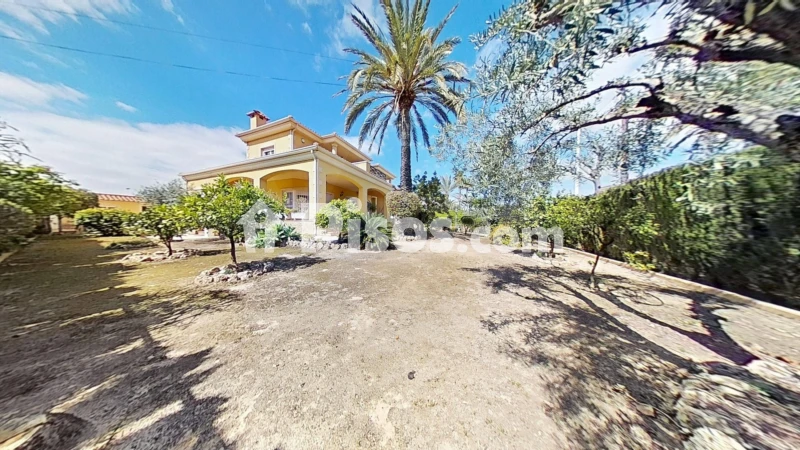 Casa – Elx - Elche