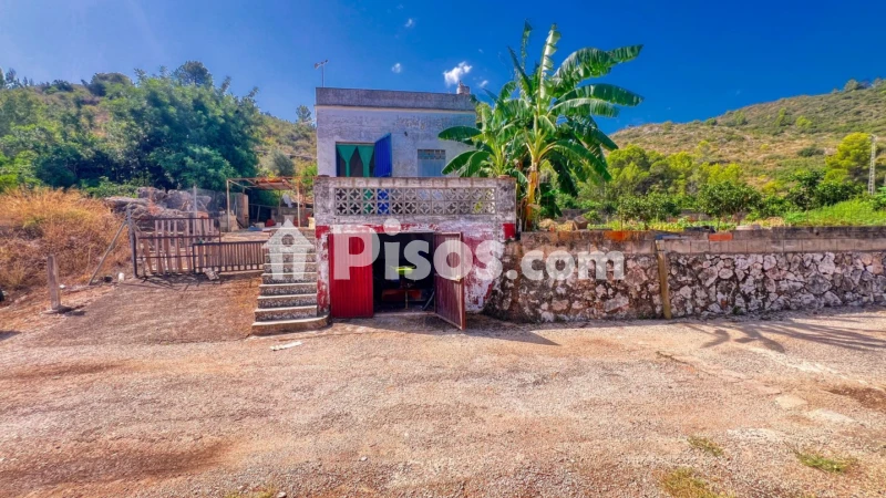 Casa – Oliva