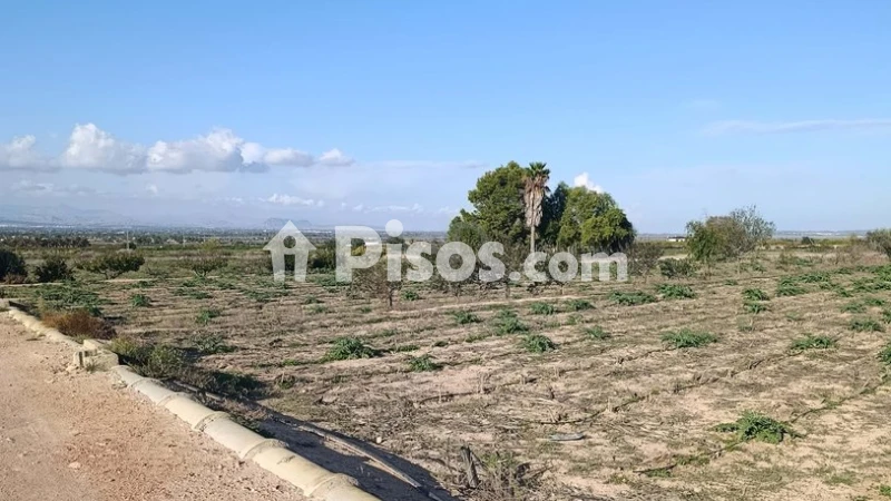 Terreno en venta en Elche