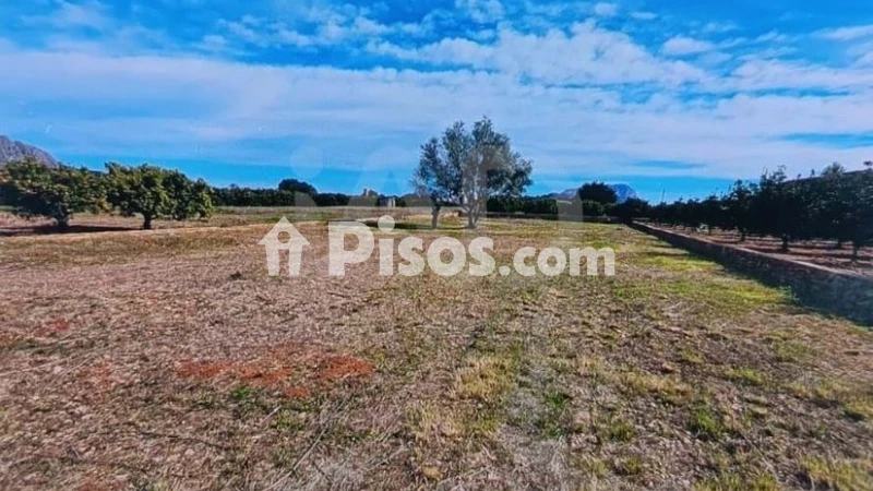 Terreno en venta en Benidoleig