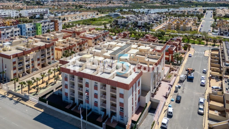 Pis – Orihuela